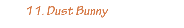        11. Dust Bunny