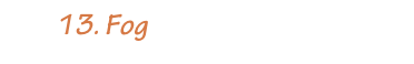         13. Fog