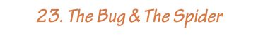         23. The Bug & The Spider